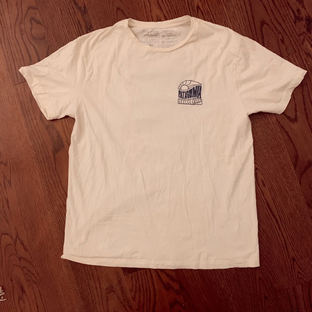 Patagonia tee shirt